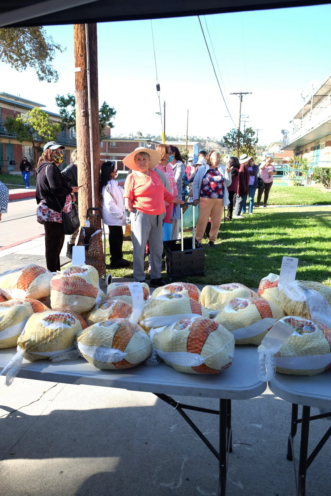 Turkey Giveway photo